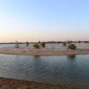 Nema više kampovanja na jezeru: Al Qudra samo za šetnju