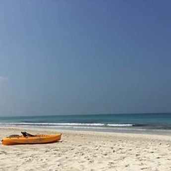 Božićni praznici: Iznenađenje na plaži u Abu Dabiju (VIDEO)